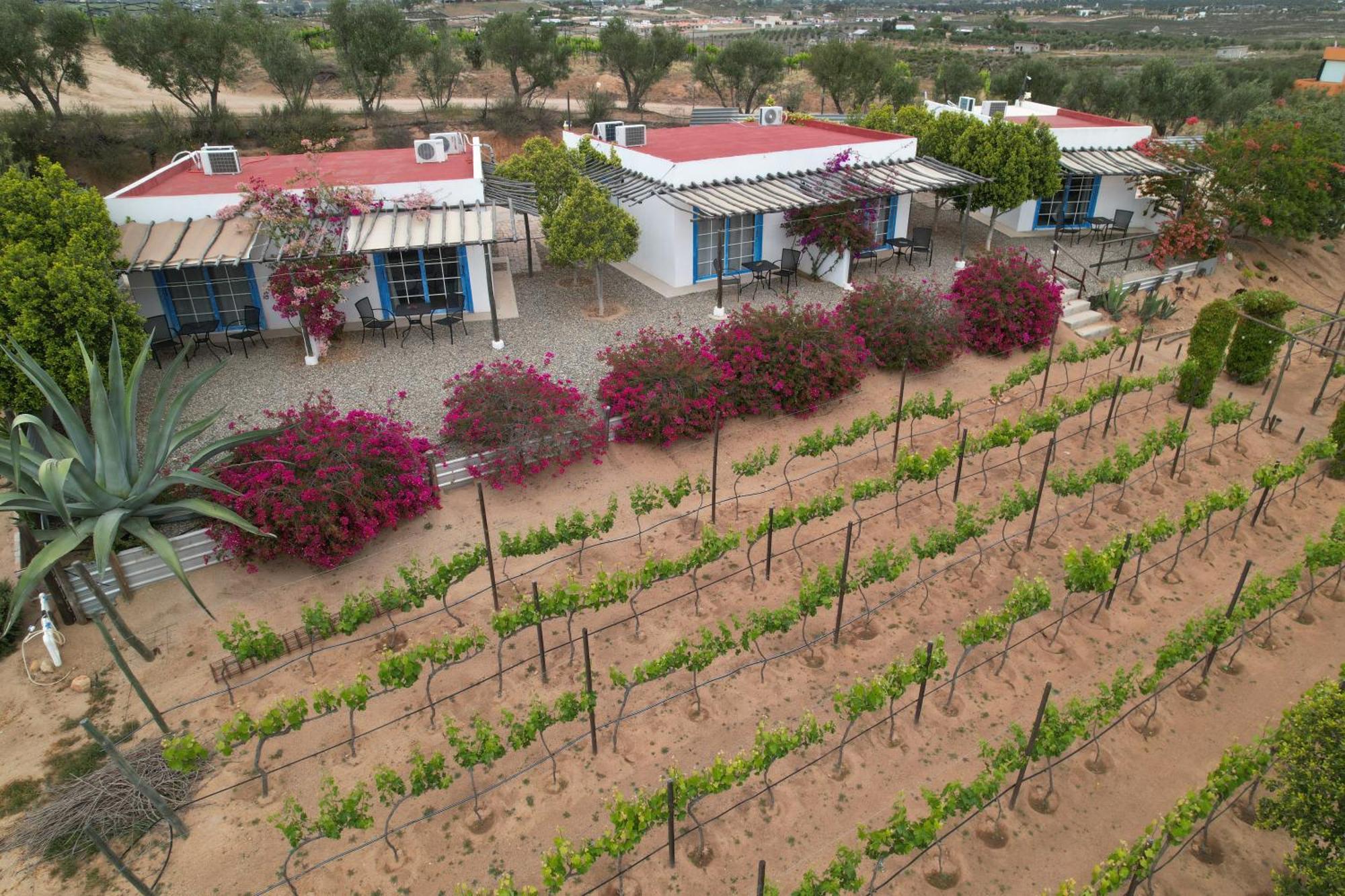 Santerra, ואלה דה גוואדלופה מראה חיצוני תמונה